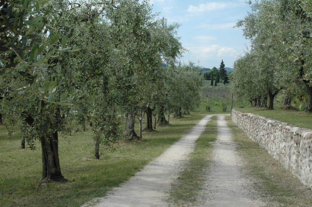 Agriturismo Tenuta La Pergola Bardolino Exterior foto