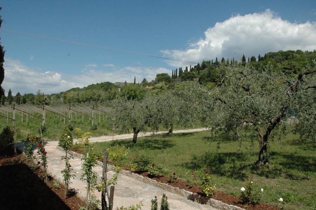 Agriturismo Tenuta La Pergola Bardolino Exterior foto