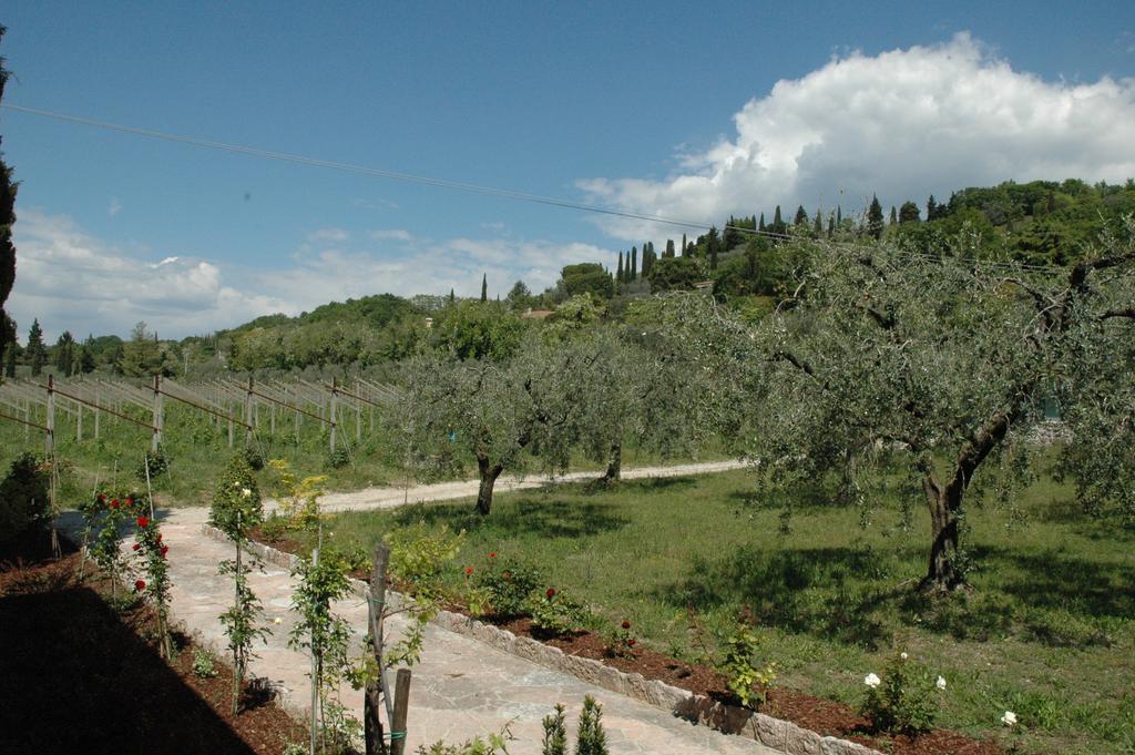 Agriturismo Tenuta La Pergola Bardolino Exterior foto