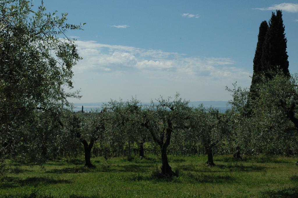 Agriturismo Tenuta La Pergola Bardolino Exterior foto