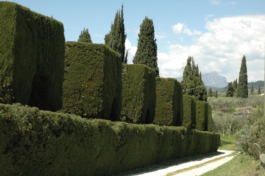 Agriturismo Tenuta La Pergola Bardolino Exterior foto