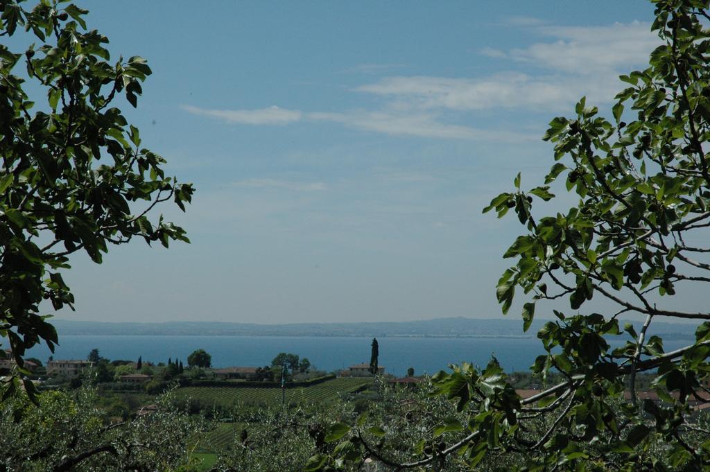 Agriturismo Tenuta La Pergola Bardolino Exterior foto